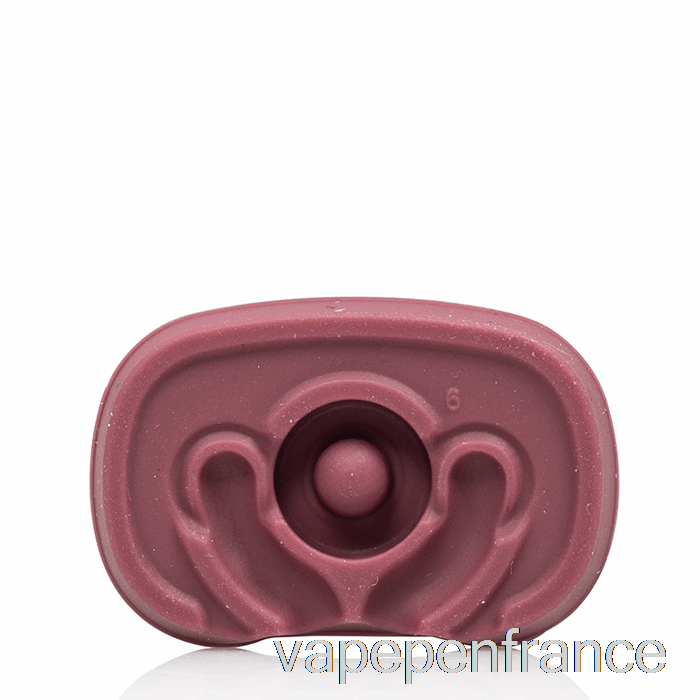 Stylo Vape De Sureau à Embout Plat Pax